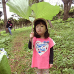 写真3