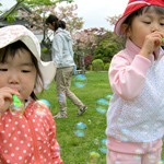 写真16
