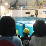 写真13
