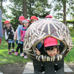 写真19